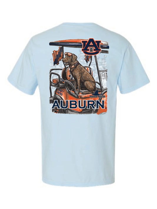 Auburn Brown Lab