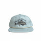 SB-Bone Fish