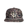 Rack SB