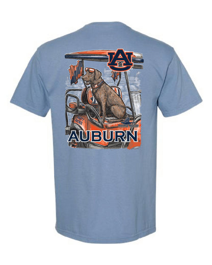 Auburn Brown Lab