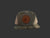 Circle Logo Large Leather Patch Flat Bill