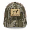 Camo Dog Khaki 6p