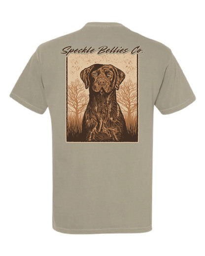 Brown lab