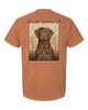 Brown lab