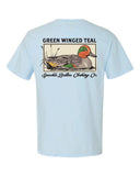 Green Winged Teal