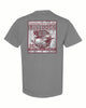 Msu  Decoy