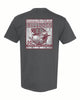 Msu  Decoy