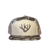 Rack SB