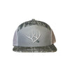 Rack SB