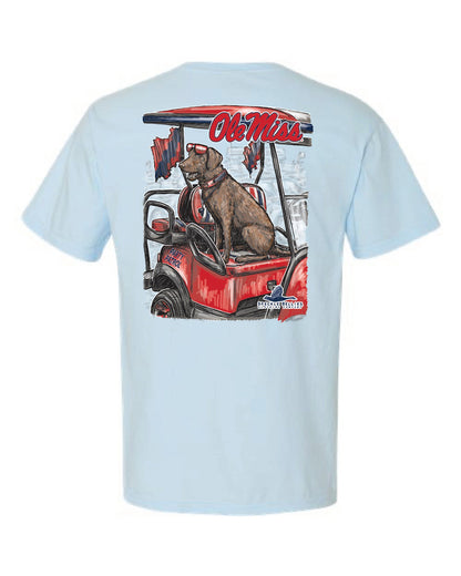 Ole Miss Brown Lab